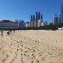 모딜리아니의원 이미지