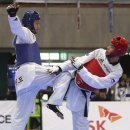 호국태권도체육관 이미지