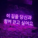 루나폴 | 제주도 서귀포여행 야경명소 추천 루나폴 방문후기