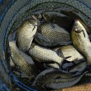 지곡낚시터 이미지