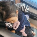 세종그랑시아공인중개사사무소 이미지