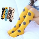 AK유치원 이미지