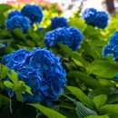 웅천 친수공원 공영주차장 이미지