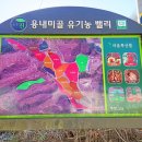 후가막마을회관 이미지