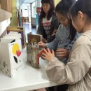 안청초등학교 이미지