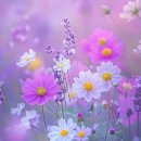 햇살 좋은날 이미지