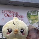 러비 | 레드벨벳 조이 고봉밥 팬미팅 &#39;Unmelting Our Green&#39; 러비 시점 후기 🍏🐤💚