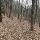 도곡2리마을회관 이미지