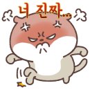 동경축산 네이버블로그