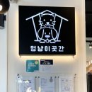멍냥이 곳간 네이버블로그