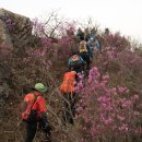 작천농장 이미지