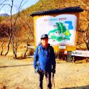 일연테마로드 이미지