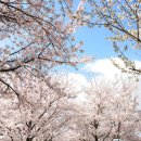 남원장식 이미지