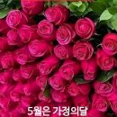 보니 Daum카페