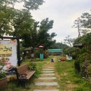 수풀림 이미지