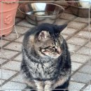 통제영3길 이미지