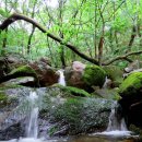 의신 베어빌리지 이미지