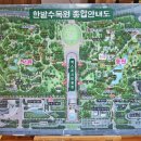 경산 꽃 다육 | [대전여행] 대전 한밭수목원 _ 열대식물원,다육식물원,천연기념물센터 관람 후기