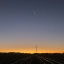 썬더치킨 이미지