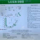 느티포레
