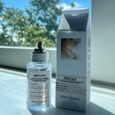 모닝세탁 | 메종 마르지엘라 레이지 선데이 모닝 노트 향수 후기, 데일리로 쓰기 좋은 이유