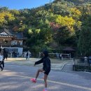 칭구야 | 서울 왔으면 남산 북측순환로 뛰어줘야지 칭구야, 뉴발란스 레벨 V5 첫런 후기