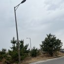 시골통돼지볶음삼겹살 이미지