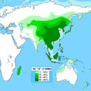 부도지의 황궁씨 그룹 Haplogroup O-M175에 대한 이해