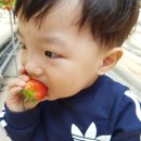 사랑애어린이집 이미지
