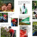 태백산족발 이미지