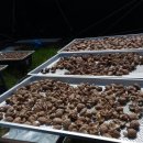 천연 조미료. 표고버섯가루 교환해봅니다. 이미지