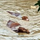 섬진강자전거길2 이미지