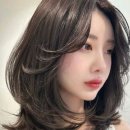 헤어밸런스