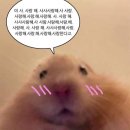 센텀큐브우측도로R | 롯데월드 x 명탐정코난 콜라보 후기/분석 _feat. 오타쿠