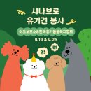 시나브로복지법인 | [2026 유기견 봉사활동] 유기견들에게 천천히 다가가는 중🐶