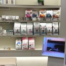 견우동물병원 | (내돈내산) 노견 강아지 치근농양 수술후기 &amp; 수술비용, 발치비용 #화이트동물메디컬센터