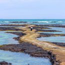 바닷길 풍경 이미지