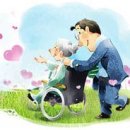카페백서향 이미지