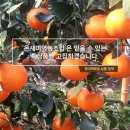 온새미 영농법인 이미지