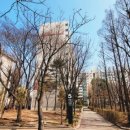 목동동로16길 이미지