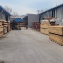 행복한 나무 이미지