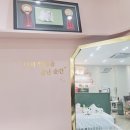 퍼피말론 강아지분양 울산점 | 울산남구애견분양 달링하이 울산점 강아지슬리커 포메알로페시아 관리후기