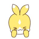 고운눈안경원 이미지