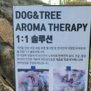 독앤트리 이미지