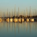 조용한아침 이미지