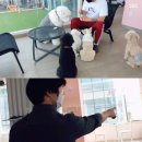 춤추는카페