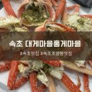 속초대게마을 | 속초조양동맛집 대게나라홍게마을