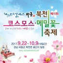 하동북천 코스모스 메밀꽃 축제(경남 하동) 이미지