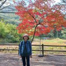 백제장례식당 | 충남 공주시 계룡산 갑사,백제 무령왕릉,왕릉원(2023년10월24일)
