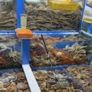 주문진좌판풍물시장 이미지